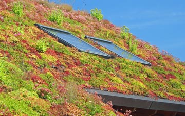 Burnhead living roof systems
