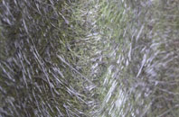 Burnhead fibreglass roof work